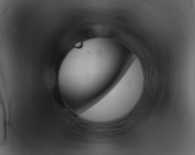 X0000096990752200802080919
