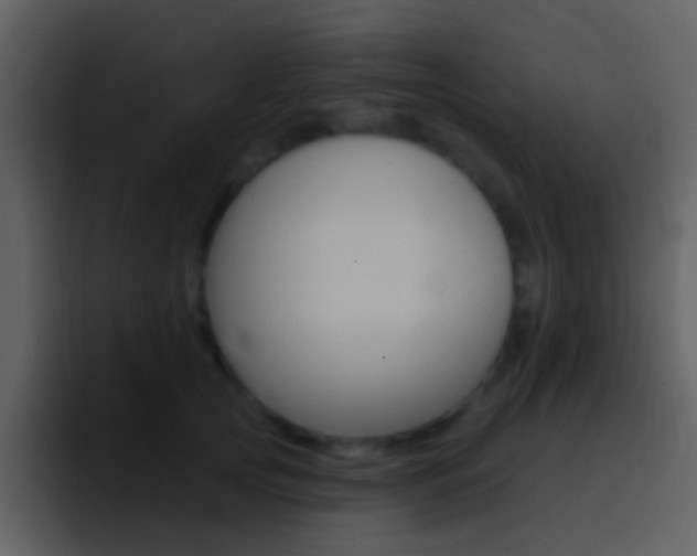 X0000096990753200802080919