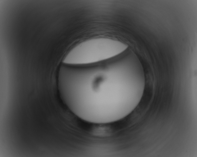 X0000096990754200802080919