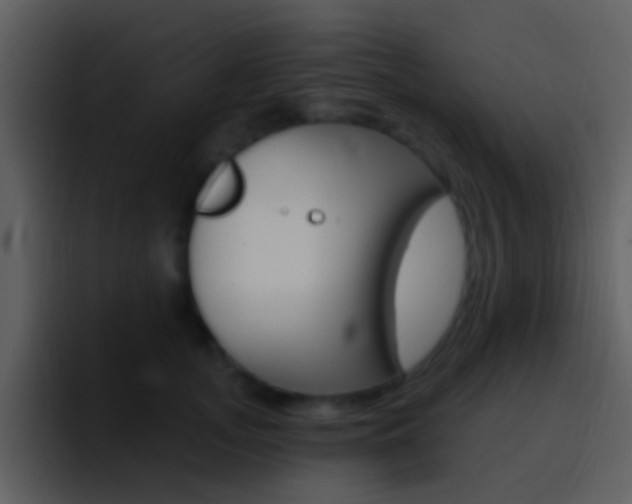 X0000096990755200802080919