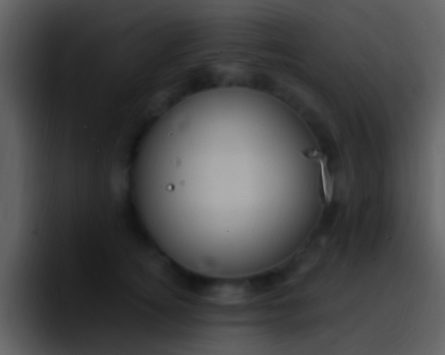 X0000096990756200802080919