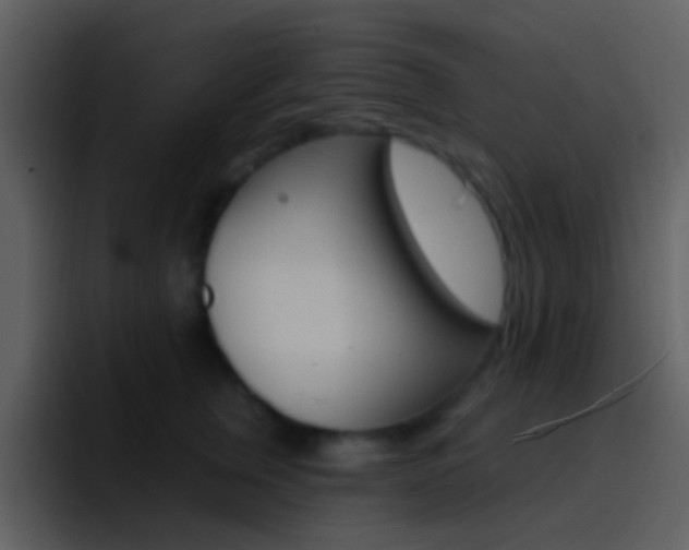 X0000096990759200802080919
