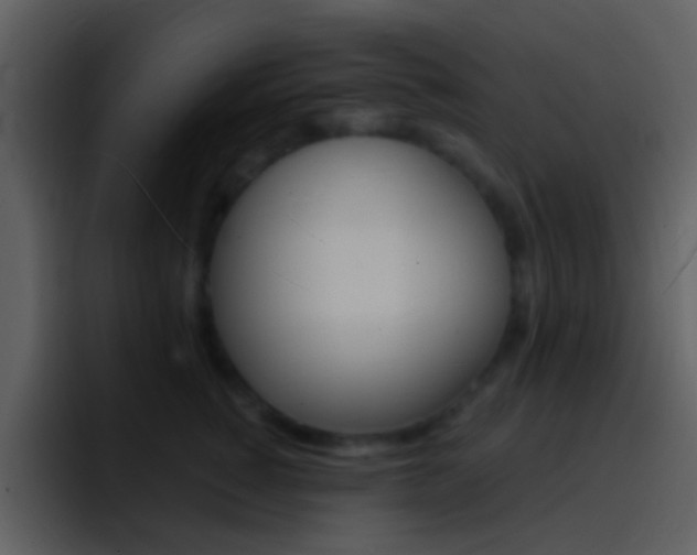 X0000096990760200802080919