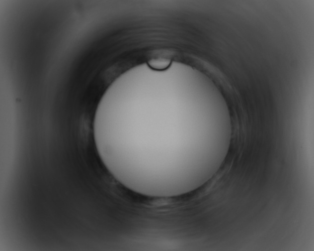 X0000096990761200802080919