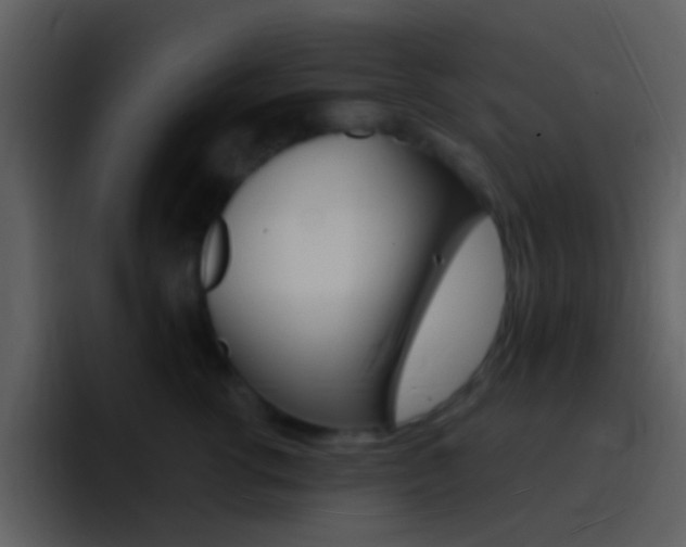 X0000096990762200802080919