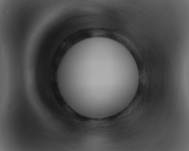 X0000096990763200802080919