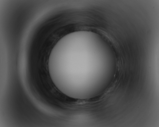 X0000096990764200802080919