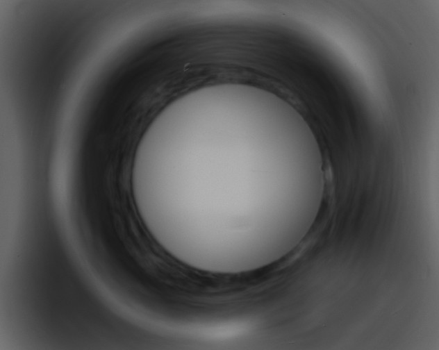 X0000096990765200802080919