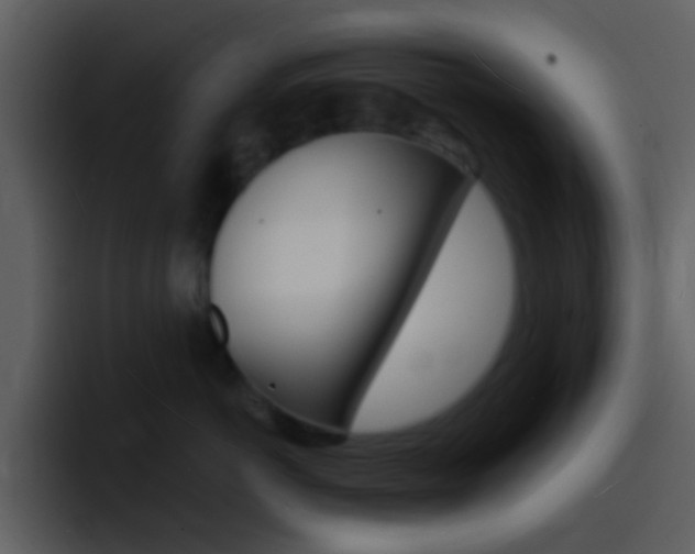 X0000096990766200802080919