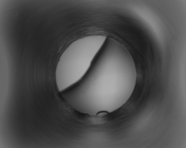 X0000096990767200802080919