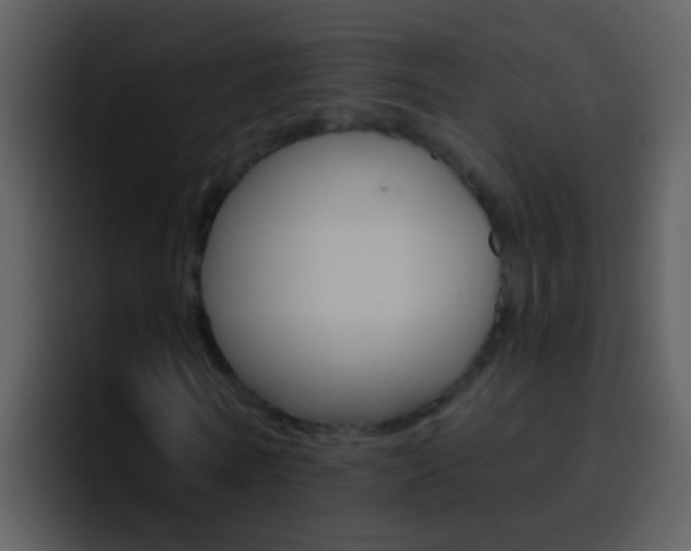 X0000096990770200802080919