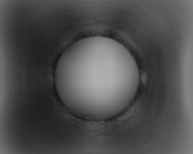 X0000096990771200802080919