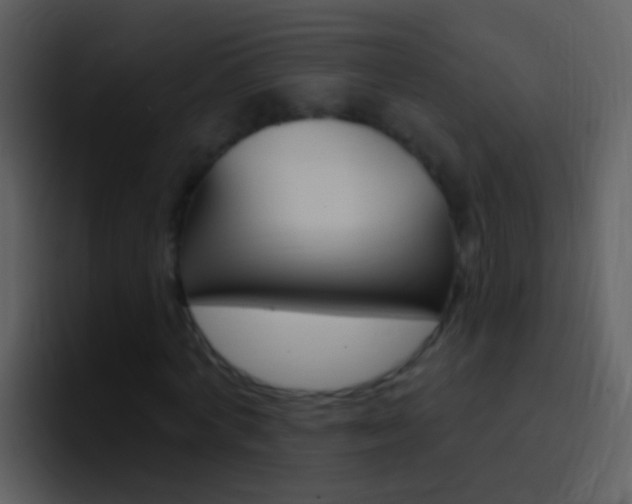 X0000096990772200802080919