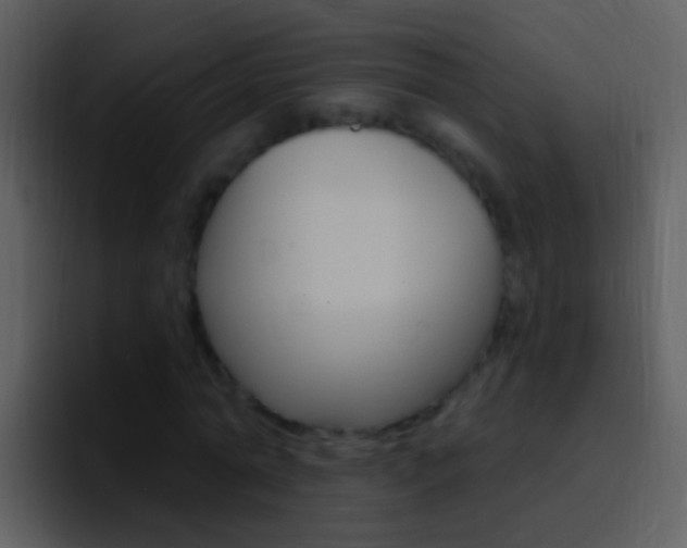 X0000096990774200802080919