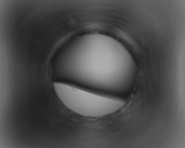 X0000096990775200802080918
