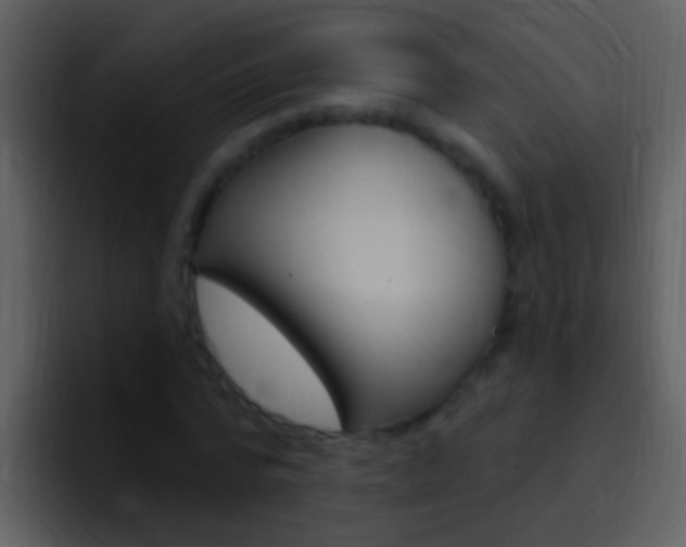 X0000096990776200802080918