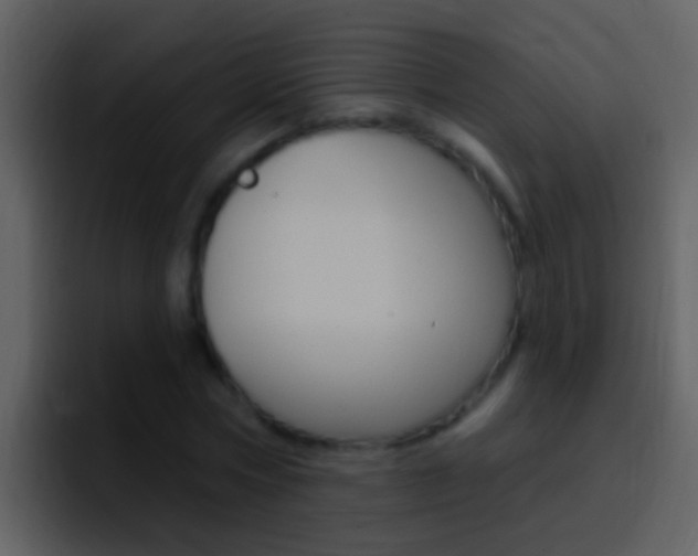 X0000096990778200802080918