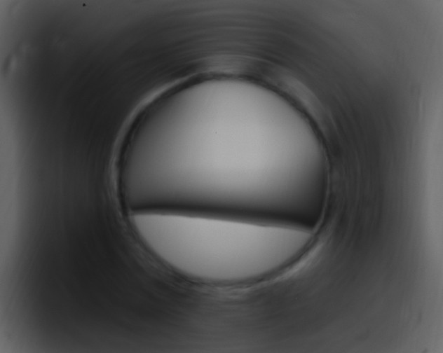 X0000096990779200802080918