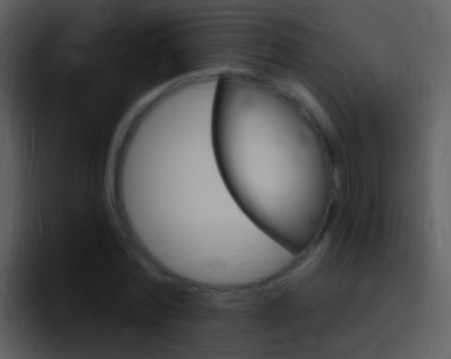 X0000096990780200802080918