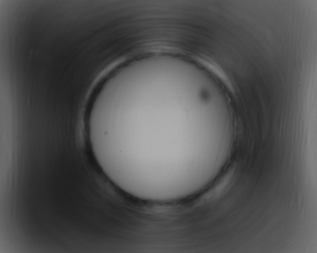 X0000096990782200802080918