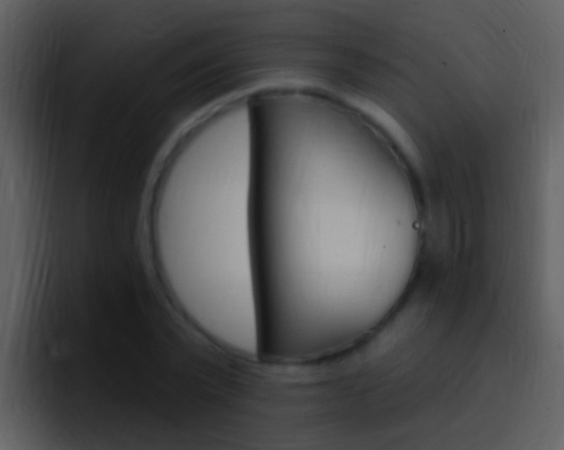 X0000096990783200802080918