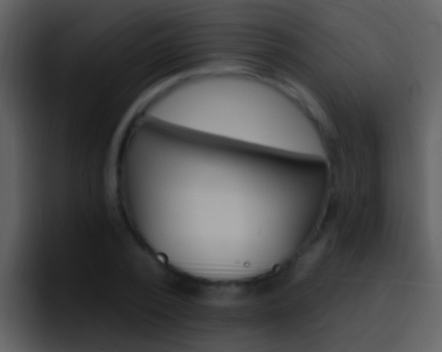 X0000096990784200802080918
