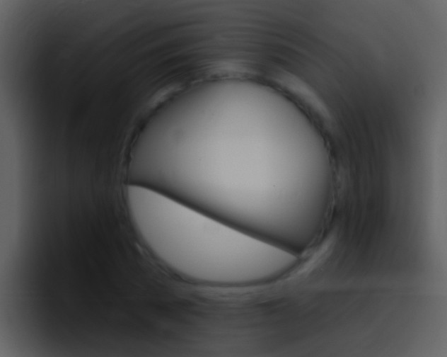 X0000096990785200802080918