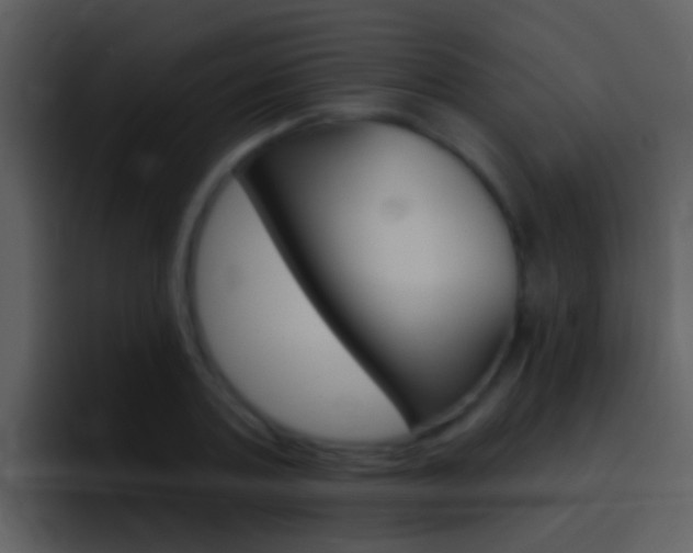 X0000096990787200802080918