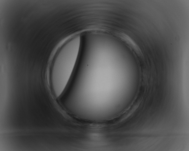 X0000096990788200802080918