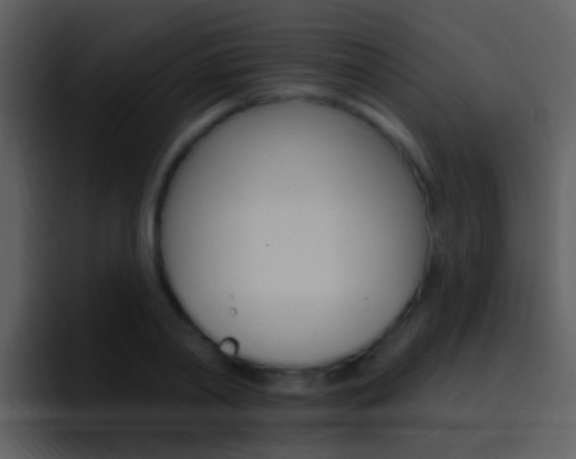 X0000096990790200802080918