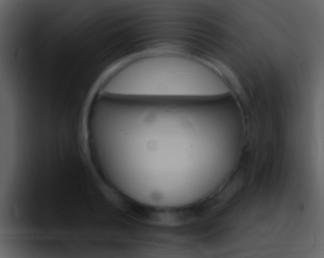 X0000096990792200802080918