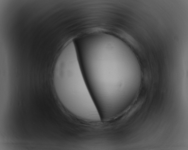 X0000096990793200802080918