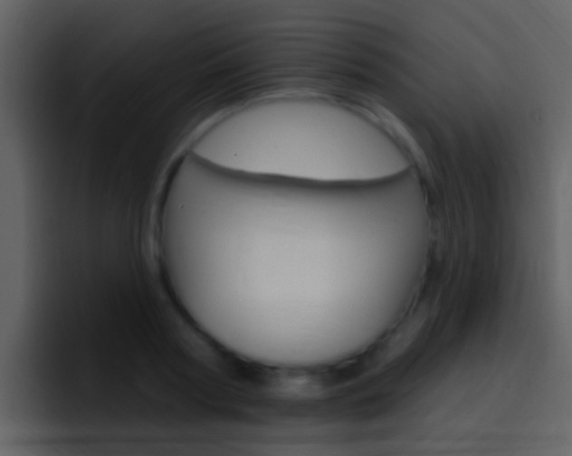 X0000096990794200802080918