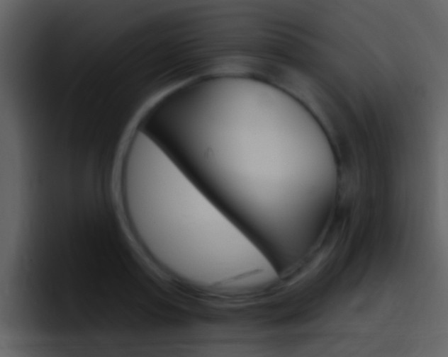 X0000096990795200802080918