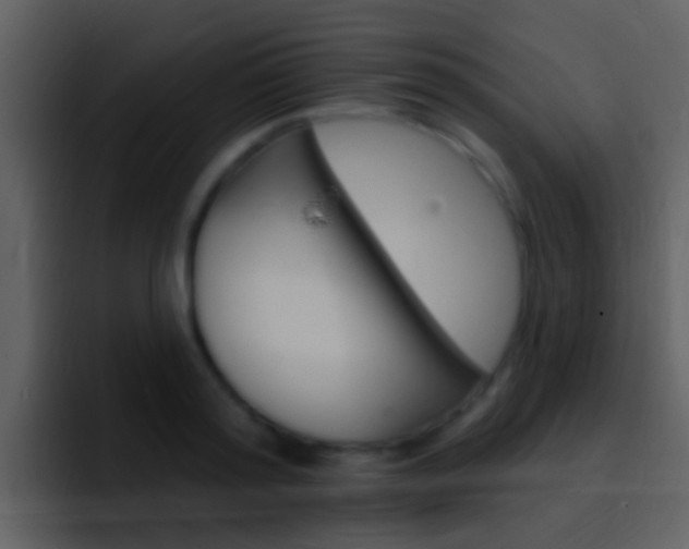 X0000096990796200802080918