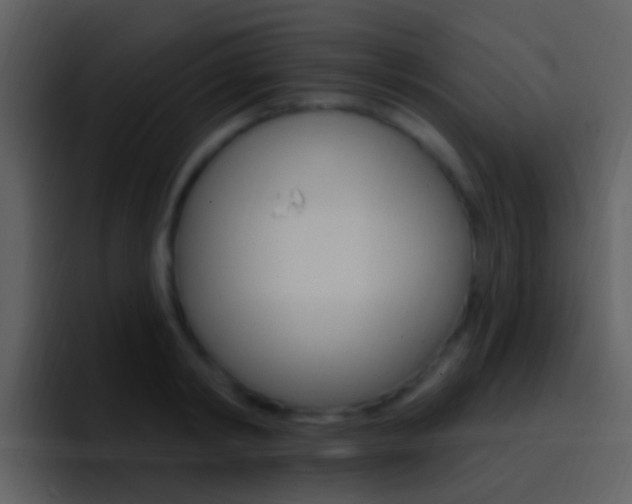 X0000096990798200802080918