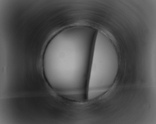 X0000096990800200802080918