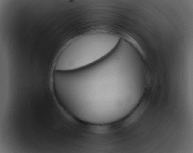 X0000096990802200802080918