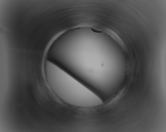 X0000096990804200802080918