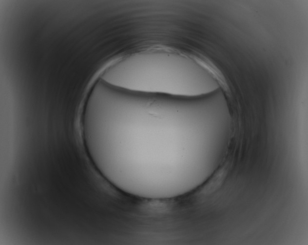 X0000096990806200802080918