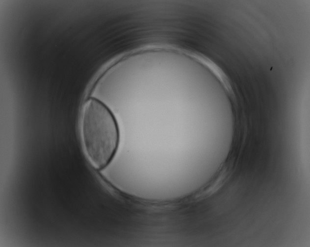 X0000096990807200802080918
