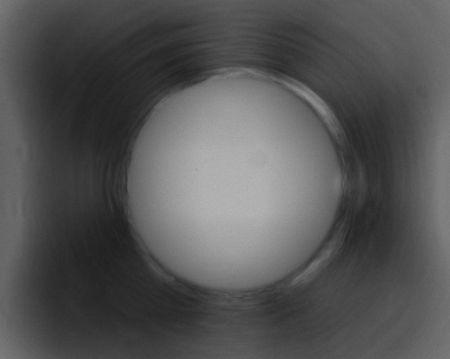 X0000096990809200802080918
