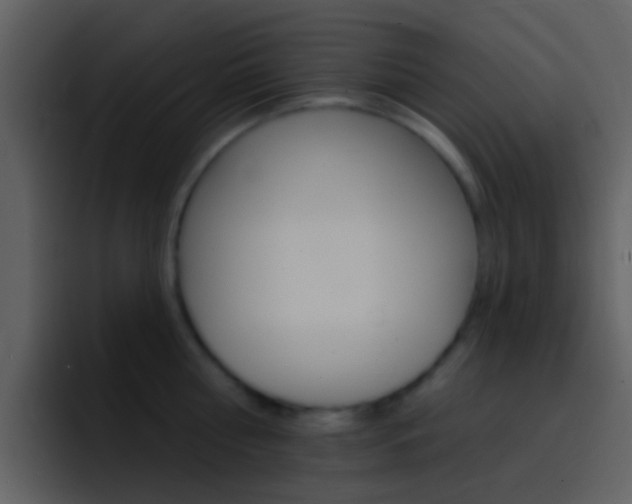 X0000096990810200802080918