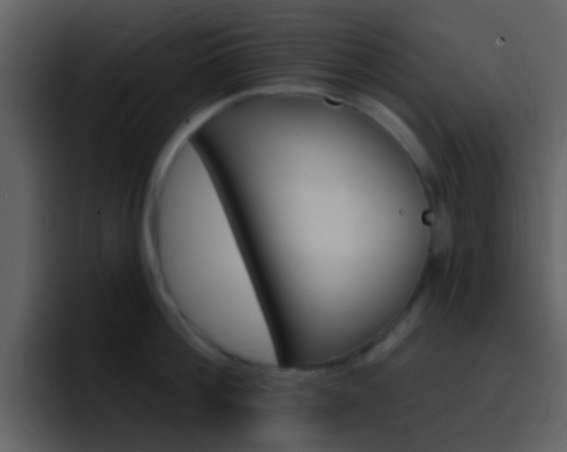 X0000096990812200802080918