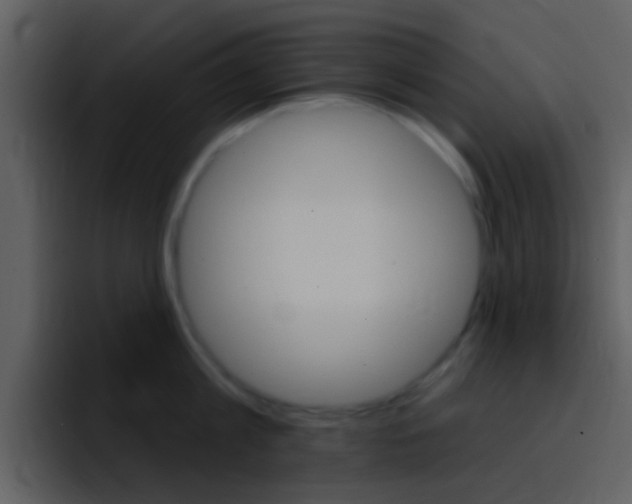 X0000096990813200802080918