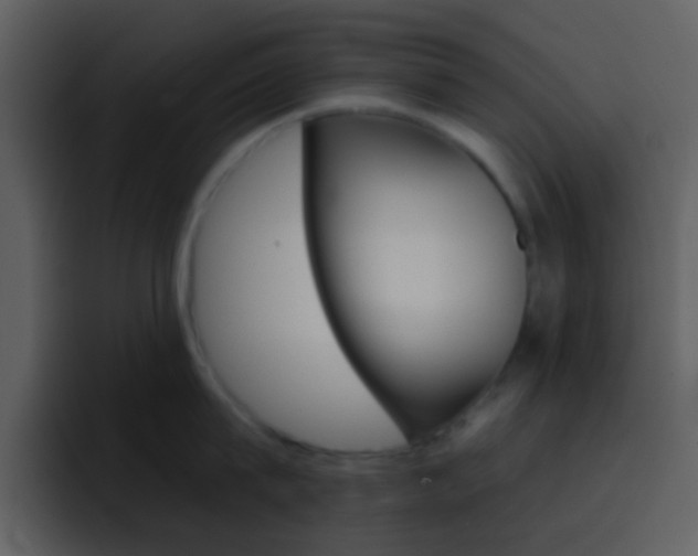 X0000096990815200802080918