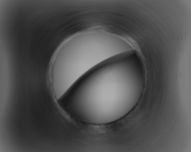 X0000096990816200802080918