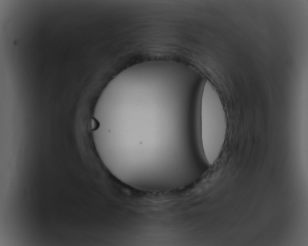 X0000096990817200802080917