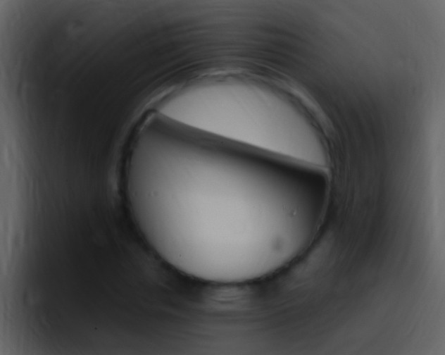 X0000096990826200802080917