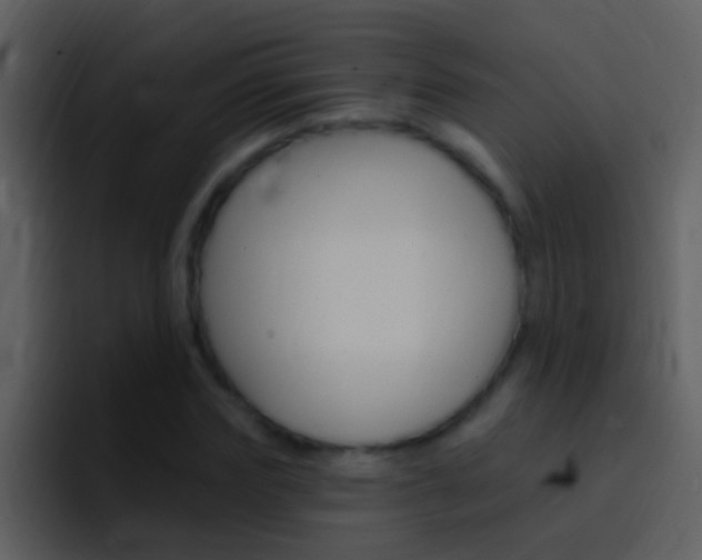 X0000096990827200802080917